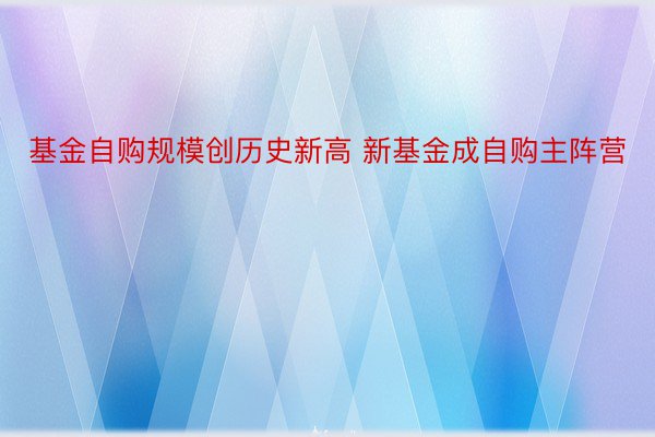 基金自购规模创历史新高 新基金成自购主阵营