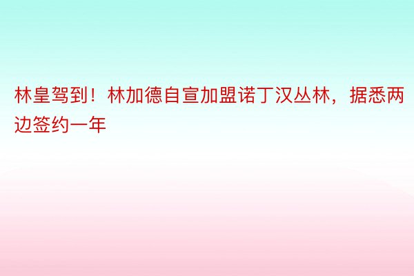 林皇驾到！林加德自宣加盟诺丁汉丛林，据悉两边签约一年